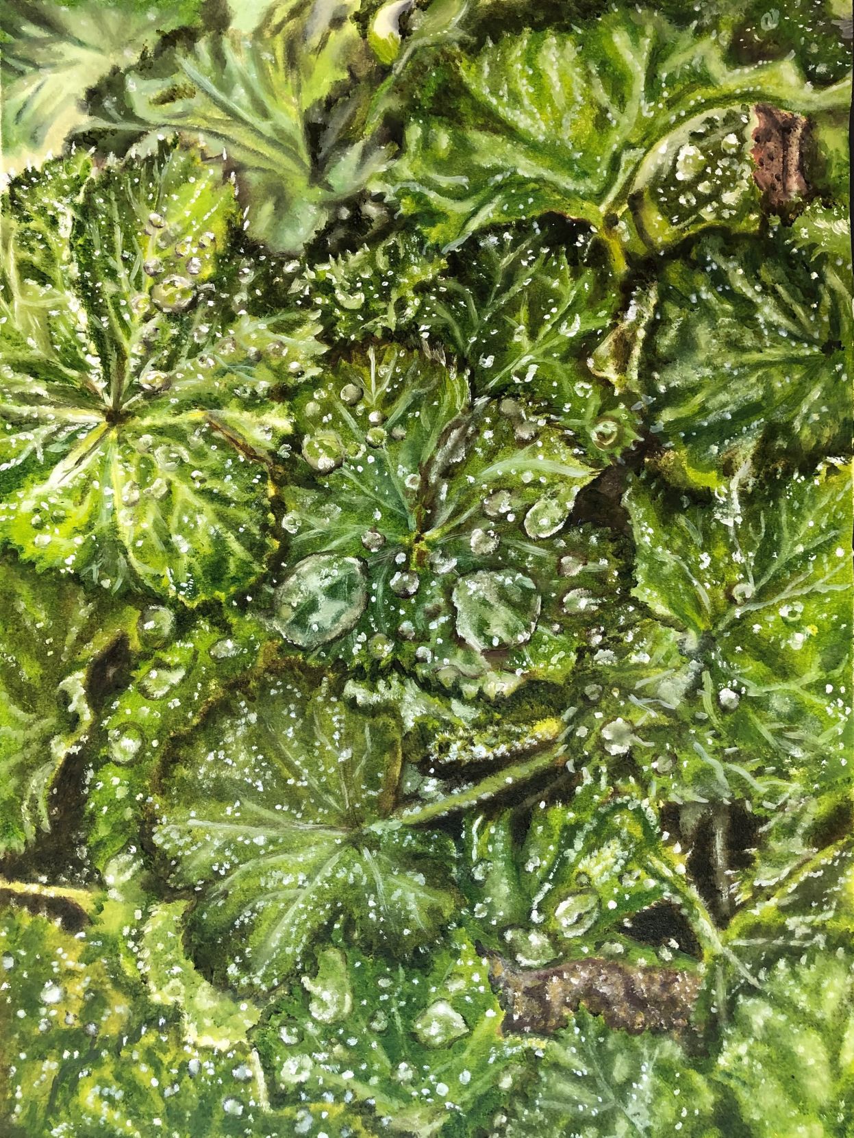 Water droplets